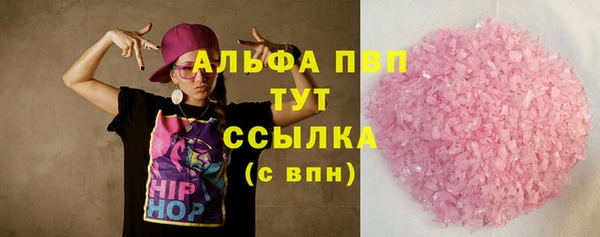 PSILOCYBIN Белокуриха