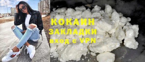 PSILOCYBIN Белокуриха