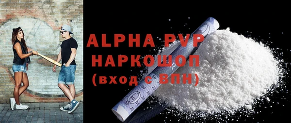 PSILOCYBIN Белокуриха