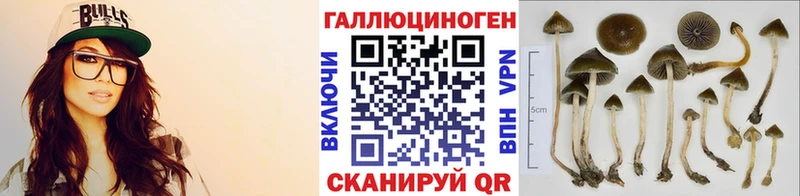 Галлюциногенные грибы GOLDEN TEACHER  Куйбышев 